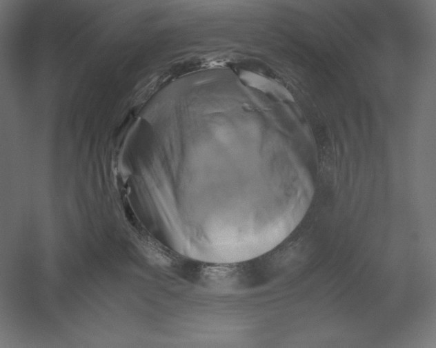 X0000051240139200507011636