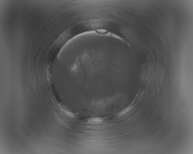 X0000051240140200507011636