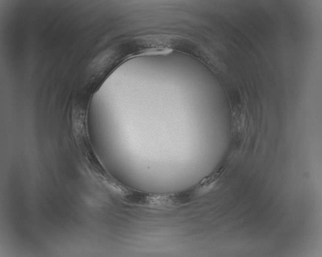 X0000051240141200507011636