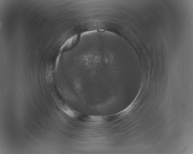 X0000051240144200507011636