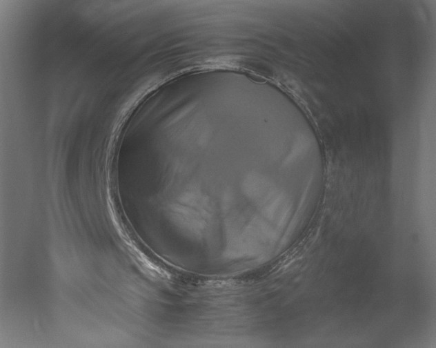 X0000051240145200507011635