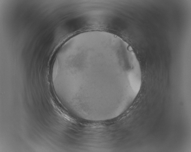 X0000051240146200507011635