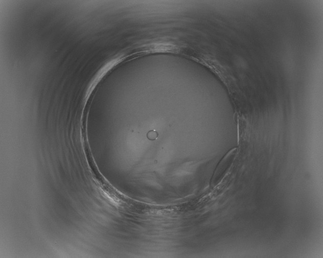 X0000051240147200507011635