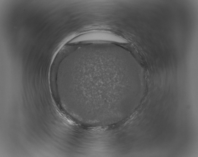 X0000051240148200507011635