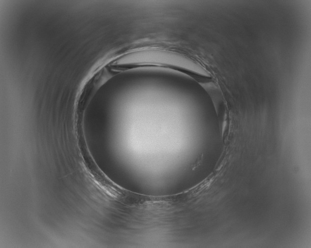 X0000051240150200507011635