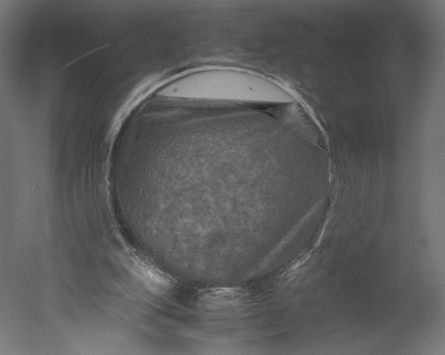 X0000051240151200507011635