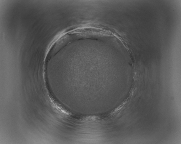 X0000051240152200507011635