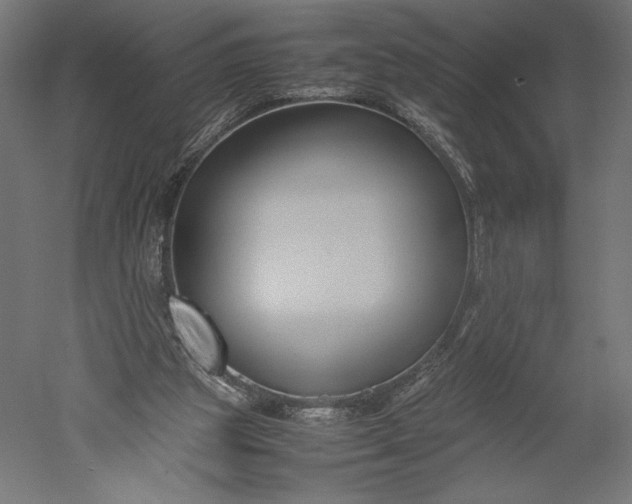 X0000051240153200507011635