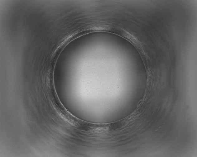 X0000051240155200507011635