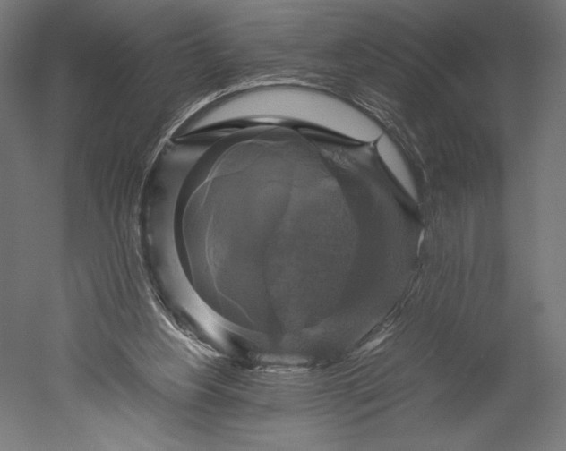 X0000051240156200507011635