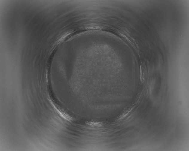 X0000051240157200507011635