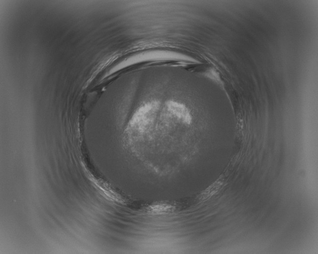 X0000051240158200507011635