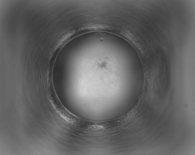 X0000051240159200507011635