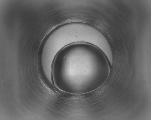 X0000051240160200507011635