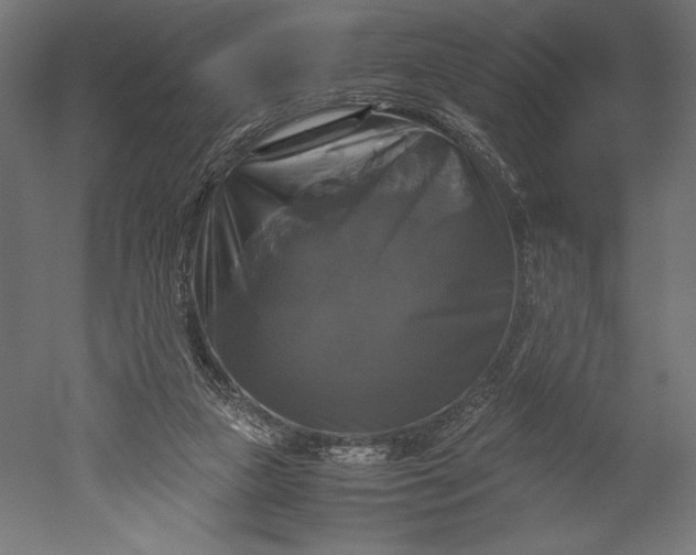 X0000051240161200507011635