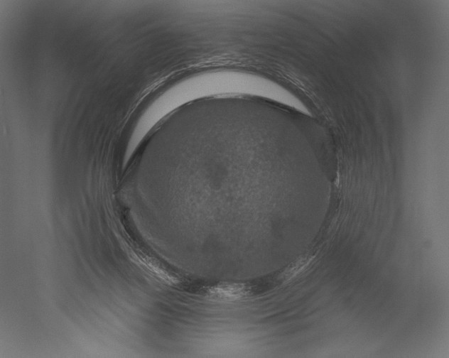 X0000051240164200507011635