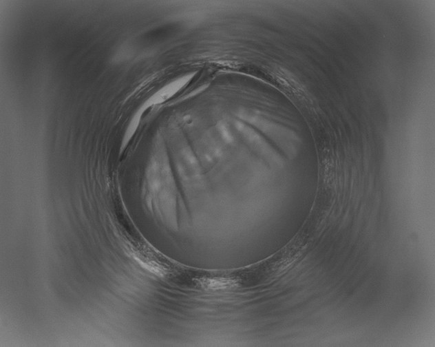 X0000051240165200507011635