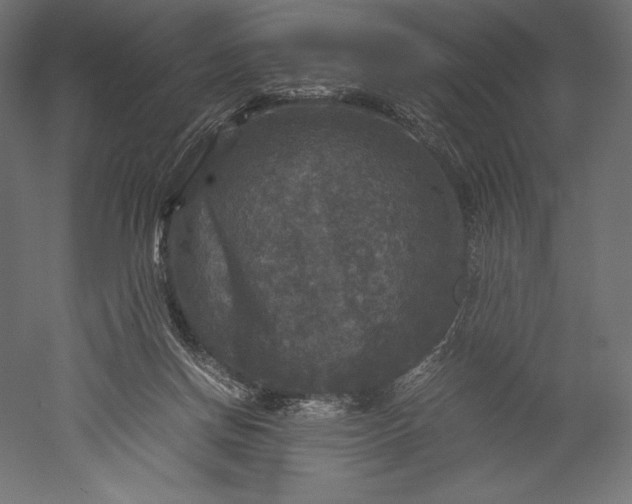 X0000051240166200507011635