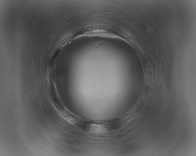 X0000051240167200507011635