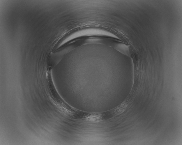 X0000051240168200507011635