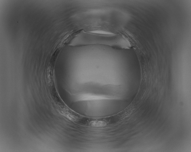 X0000051240169200507011635