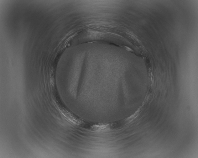 X0000051240170200507011635