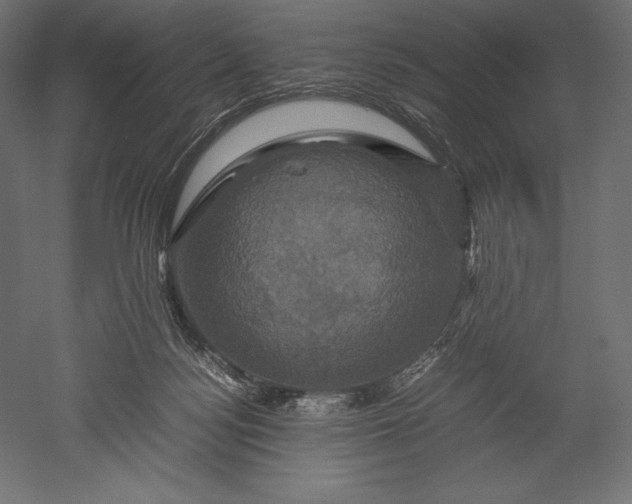 X0000051240172200507011635