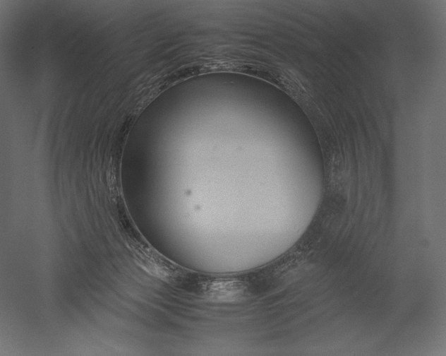 X0000051240173200507011635