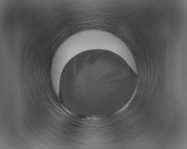 X0000051240174200507011635