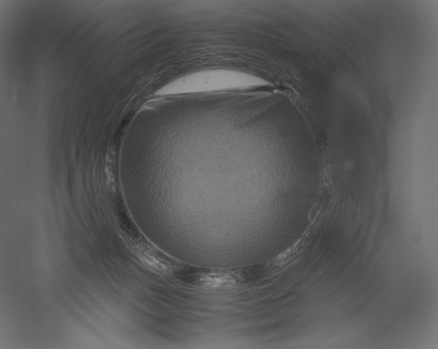 X0000051240175200507011635