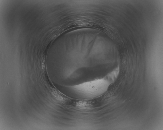 X0000051240177200507011635