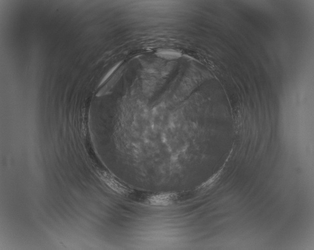 X0000051240178200507011635