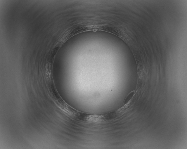 X0000051240179200507011635