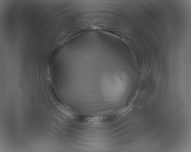 X0000051240182200507011636