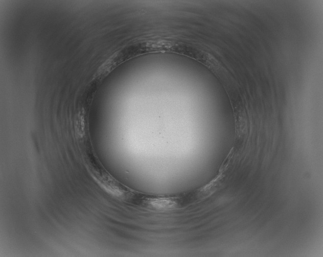 X0000051240183200507011636