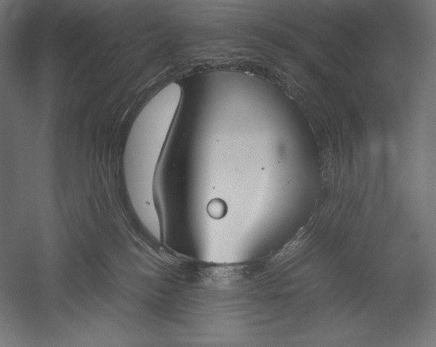 X0000051240184200507011636