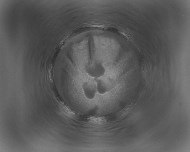 X0000051240185200507011636