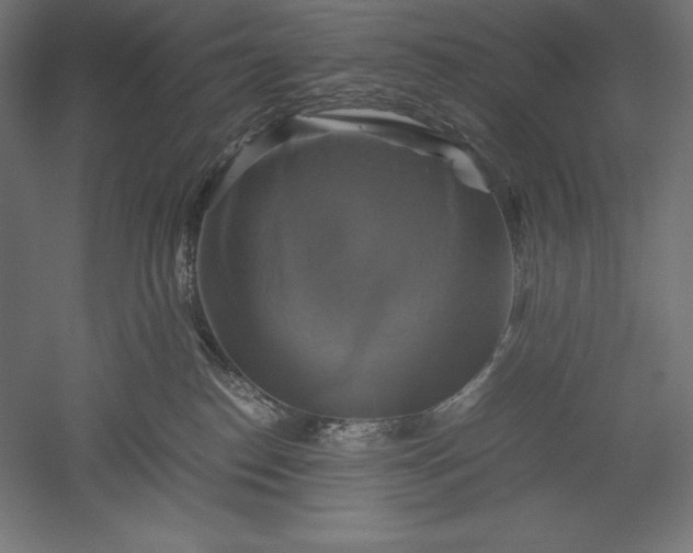 X0000051240186200507011636