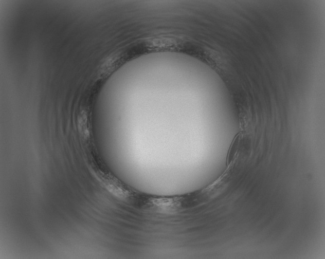 X0000051240187200507011636