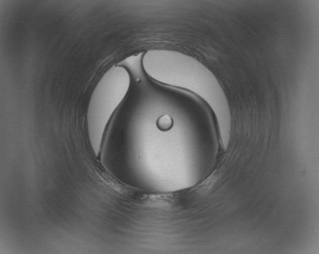 X0000051240188200507011636