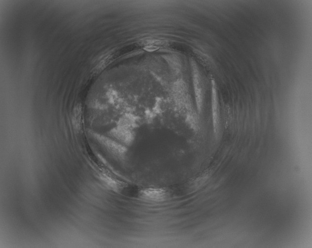 X0000051240189200507011636