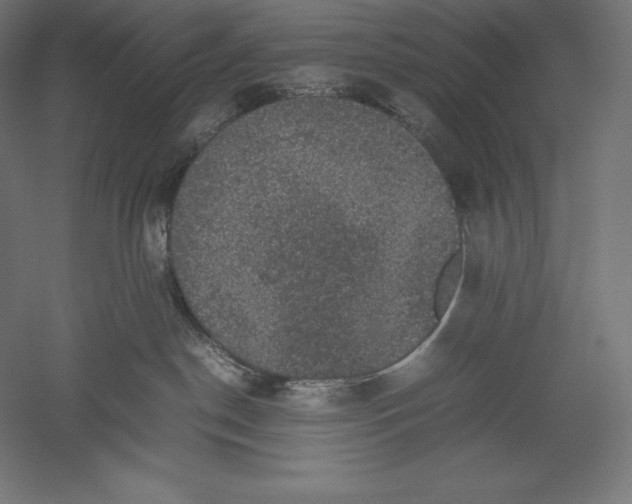 X0000051240190200507011636