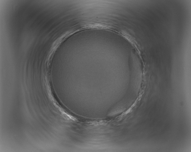 X0000051240193200507011635