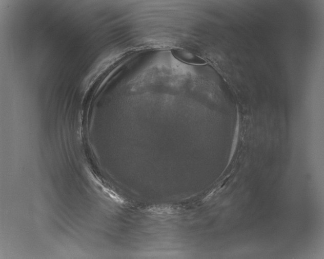 X0000051240194200507011635