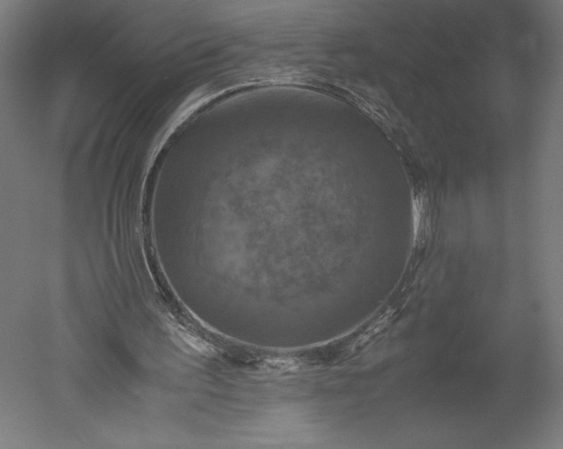 X0000051240195200507011635