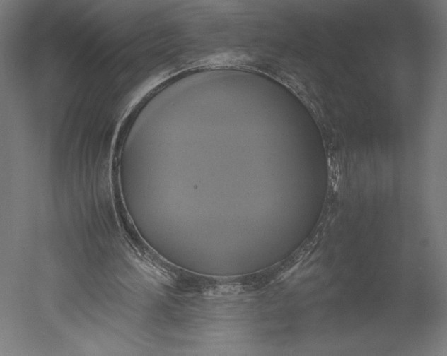 X0000051240196200507011635