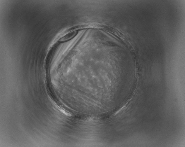 X0000051240198200507011635