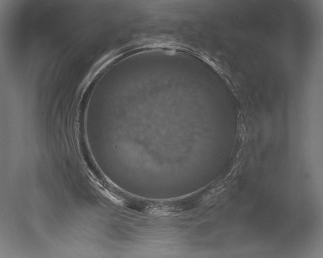 X0000051240199200507011635