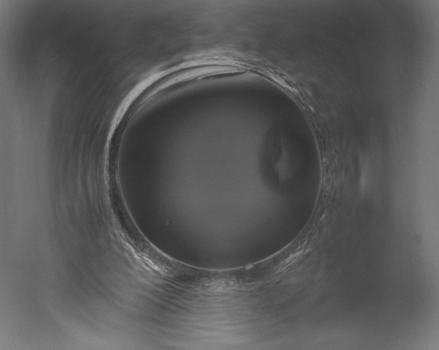 X0000051240200200507011635