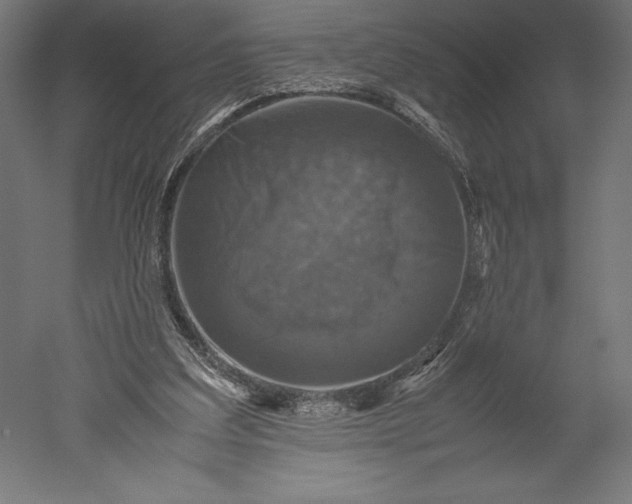 X0000051240203200507011635